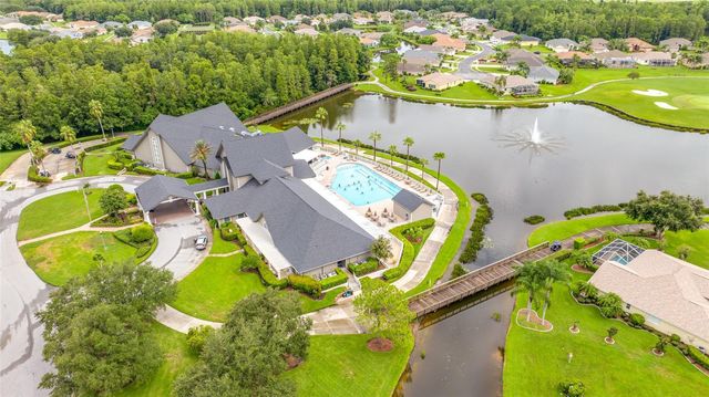 11421 STRATHAVEN COURT, Trinity, FL 34655