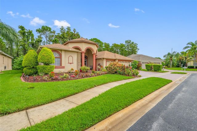 11421 STRATHAVEN COURT, Trinity, FL 34655