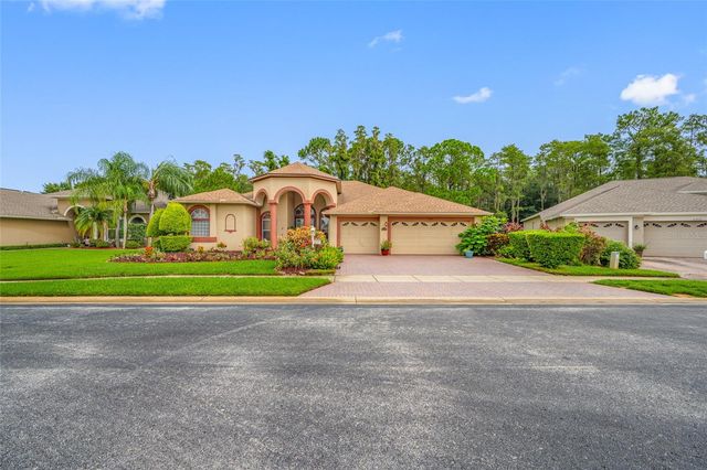 11421 STRATHAVEN COURT, Trinity, FL 34655