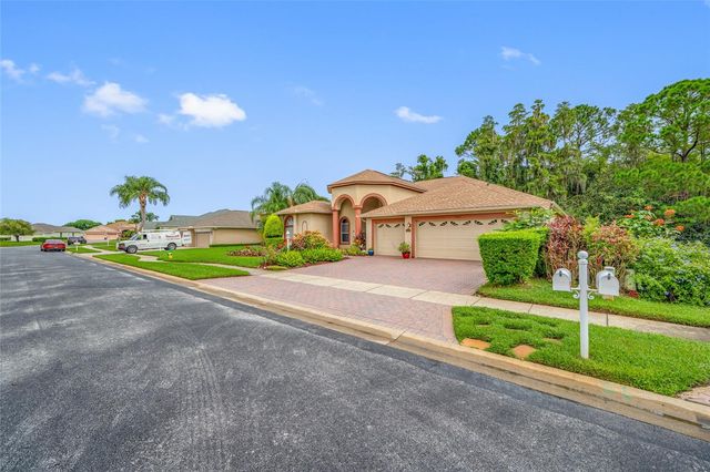 11421 STRATHAVEN COURT, Trinity, FL 34655