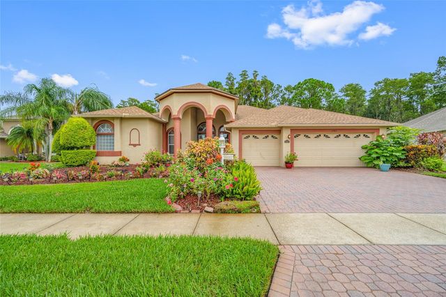11421 STRATHAVEN COURT, Trinity, FL 34655