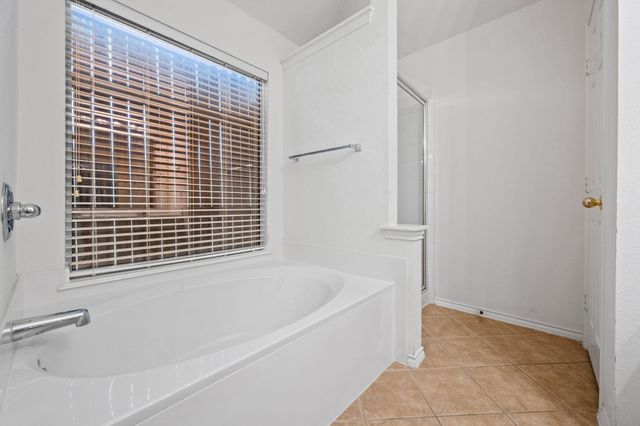 17919 Magenta Springs Drive, Humble, TX 77346