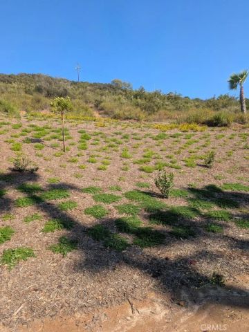 4287 Rosa Rancho, Fallbrook, CA 92028