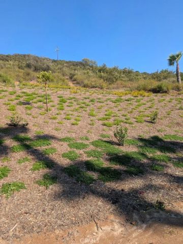 4287 Rosa Rancho, Fallbrook, CA 92028