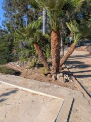 4287 Rosa Rancho, Fallbrook, CA 92028