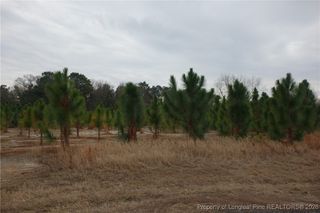 Lot 41 Stuarts Mill Road, Fairmont, NC 28340