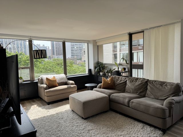 1460 N Sandburg Terrace 501, Chicago, IL 60610