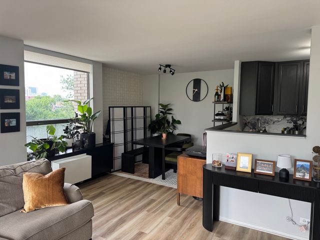 1460 N Sandburg Terrace 501, Chicago, IL 60610