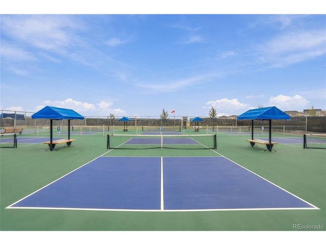 14131 Blue Heart Ct, Parker, CO 80134