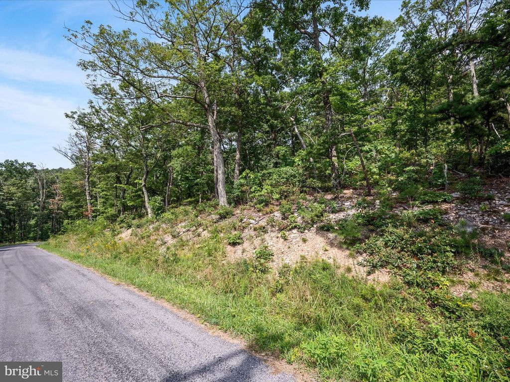 LOT 43 TOMAHAWK TRL, Winchester, VA 22602