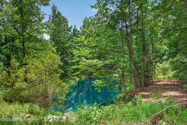 4890 MCALLISTER Road, Middleburg, FL 32068