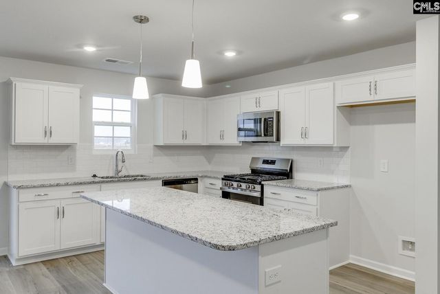 665 Clementine Run, Gilbert, SC 29054