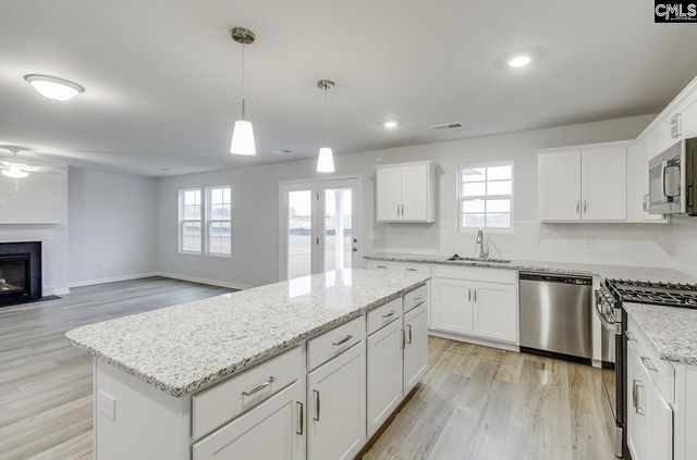 665 Clementine Run, Gilbert, SC 29054