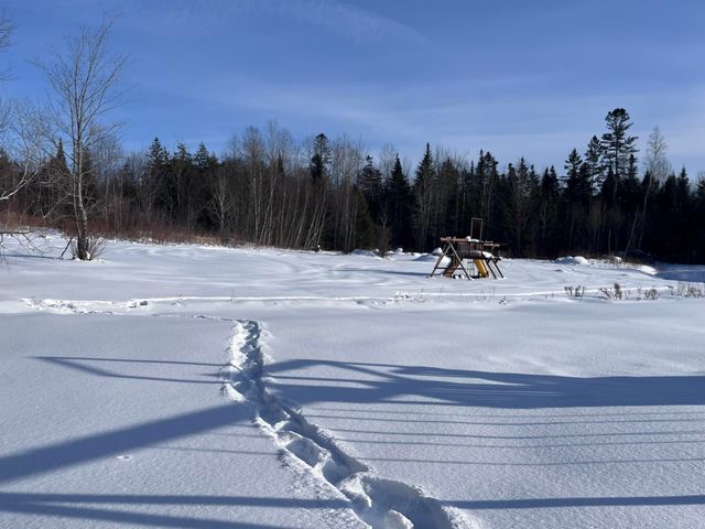 296 George Street, Orange, VT 05641