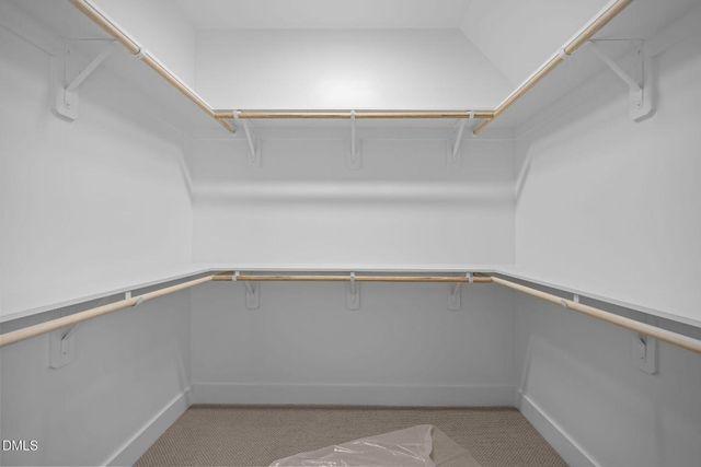 1005 Phoenix Place, Raleigh, NC 27610