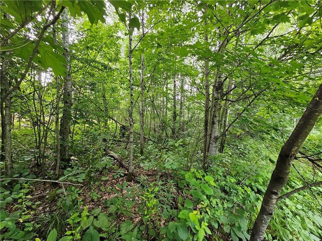 000 Williams Road Lot 4, Shell Lake, WI 54871