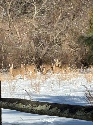 58 Coram Swezeytown Road, Middle Island, NY 11953