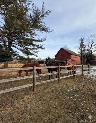 58 Coram Swezeytown Road, Middle Island, NY 11953