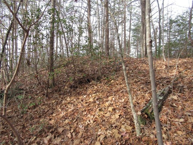 110 Fireside Lane, Pickens, SC 29671