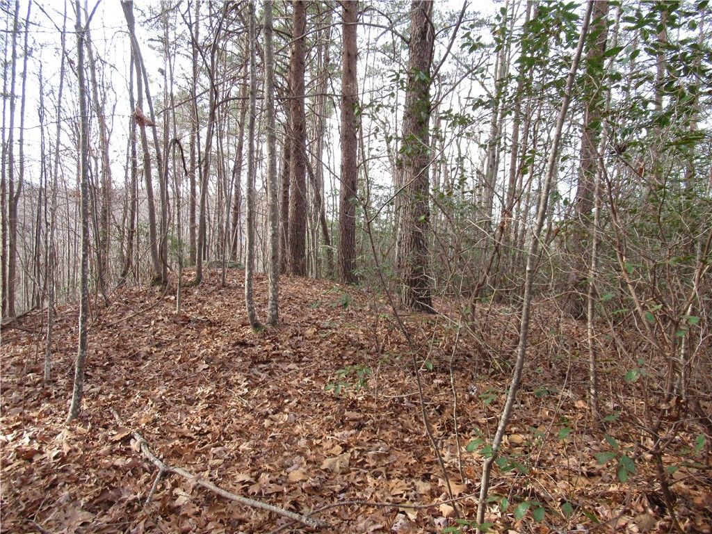 110 Fireside Lane, Pickens, SC 29671