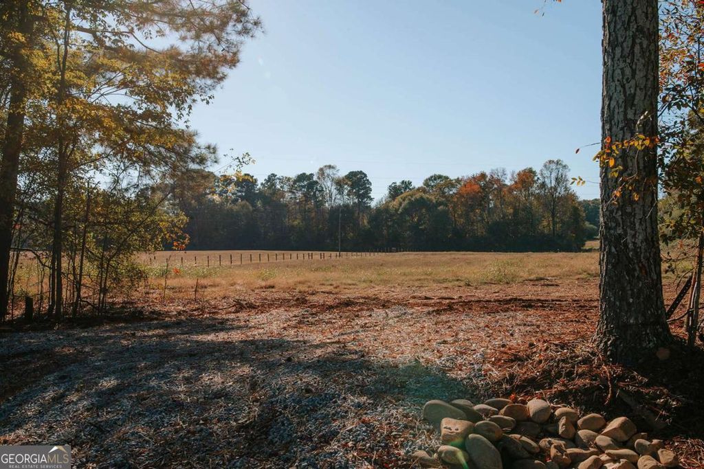 TRACT 56 Lakeview Drive, Winterville, GA 30683 — photo 4