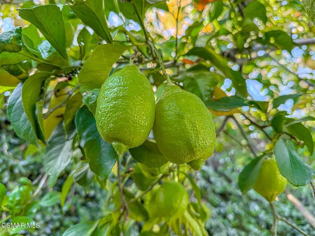 5419 Via Olas, Newbury Park, CA 91320