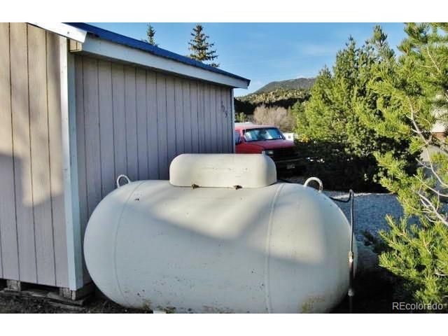 10795 County Road 197 A Unit 105 105, Nathrop, CO 81236