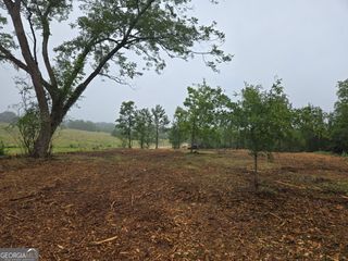 LOT 3 Coweta Heard Road, Hogansville, GA 30230