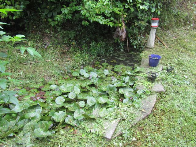 27 Charter Oaks Drive, Gray, KY 40734