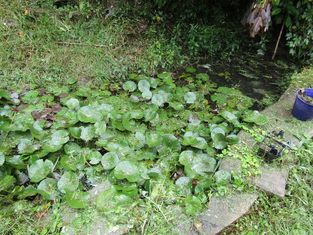 27 Charter Oaks Drive, Gray, KY 40734