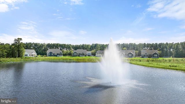 20316 HARVEST RIDGE LN, Millsboro, DE 19966