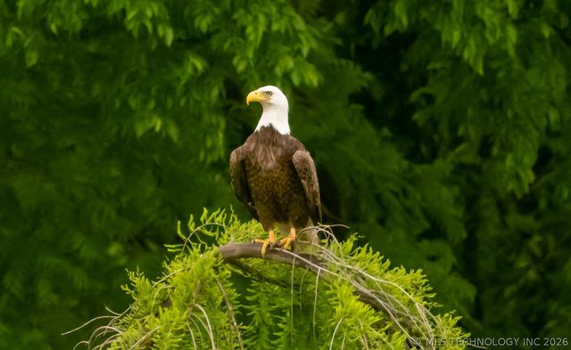 3511 E 181st Street S, Bixby, OK 74008