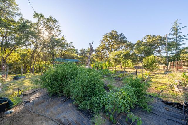 14514 Bald Mountain Rd, Penn Valley, CA 95946