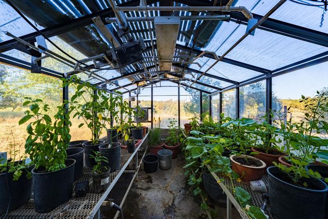 14514 Bald Mountain Rd, Penn Valley, CA 95946