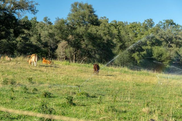 14514 Bald Mountain Rd, Penn Valley, CA 95946