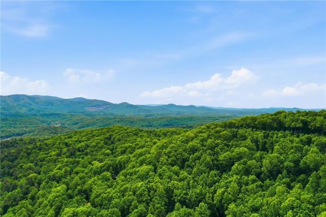 1564 Big Ben Road, Ellijay, GA 30540