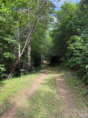 Lot 10 Parker Padgett Road, Old Fort, NC 28762