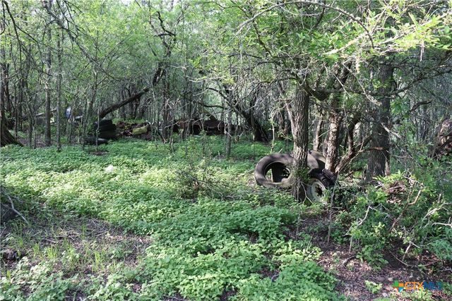 320 Hillcrest Lane, Dale, TX 78616