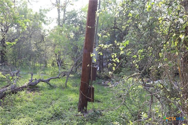 320 Hillcrest Lane, Dale, TX 78616