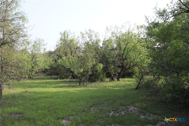 320 Hillcrest Lane, Dale, TX 78616