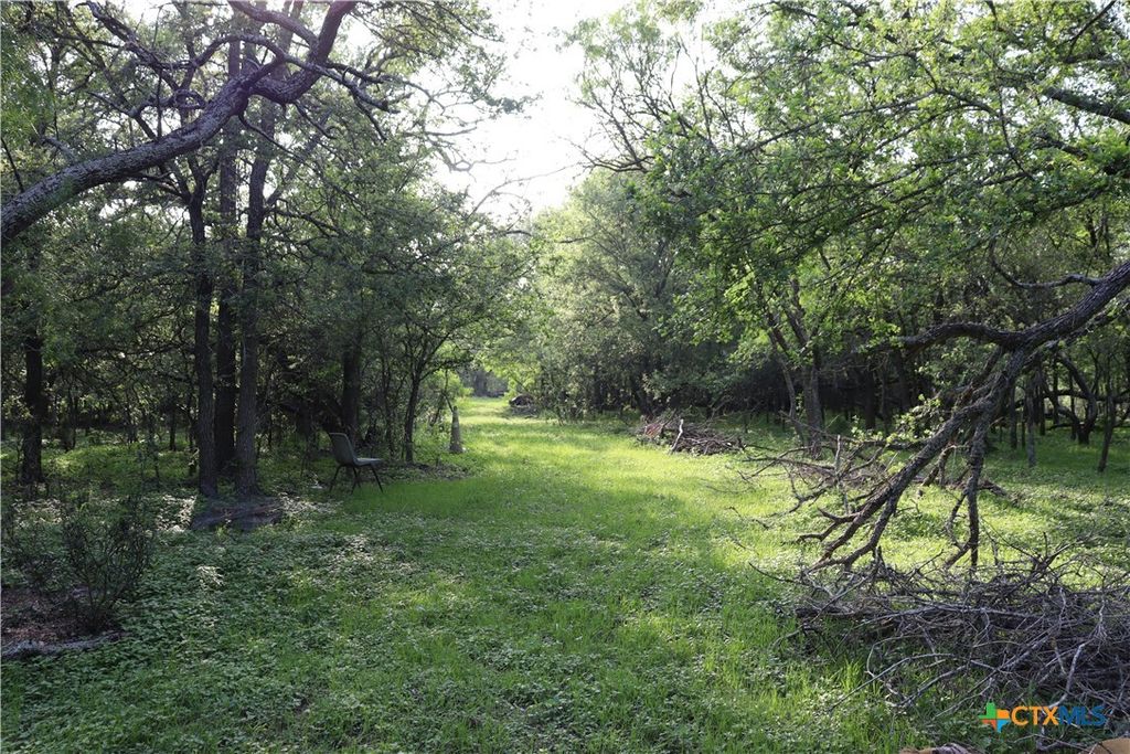 320 Hillcrest Lane, Dale, TX 78616