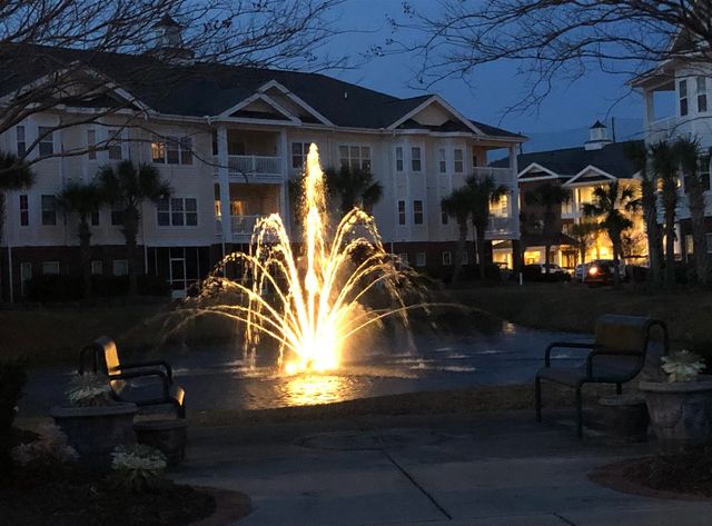 1107 Louise Costin Ln Unit 1203, Murrells Inlet, SC 29576