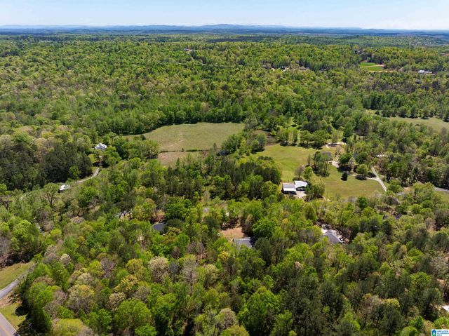 142 JEANIE LANE, Pell City, AL 35128