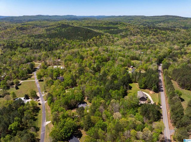 142 JEANIE LANE, Pell City, AL 35128