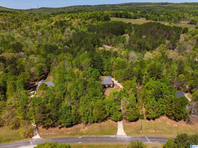 142 JEANIE LANE, Pell City, AL 35128