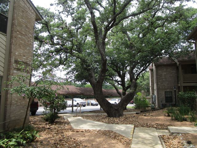 12446 Starcrest Dr Apt 108, San Antonio, TX 78216