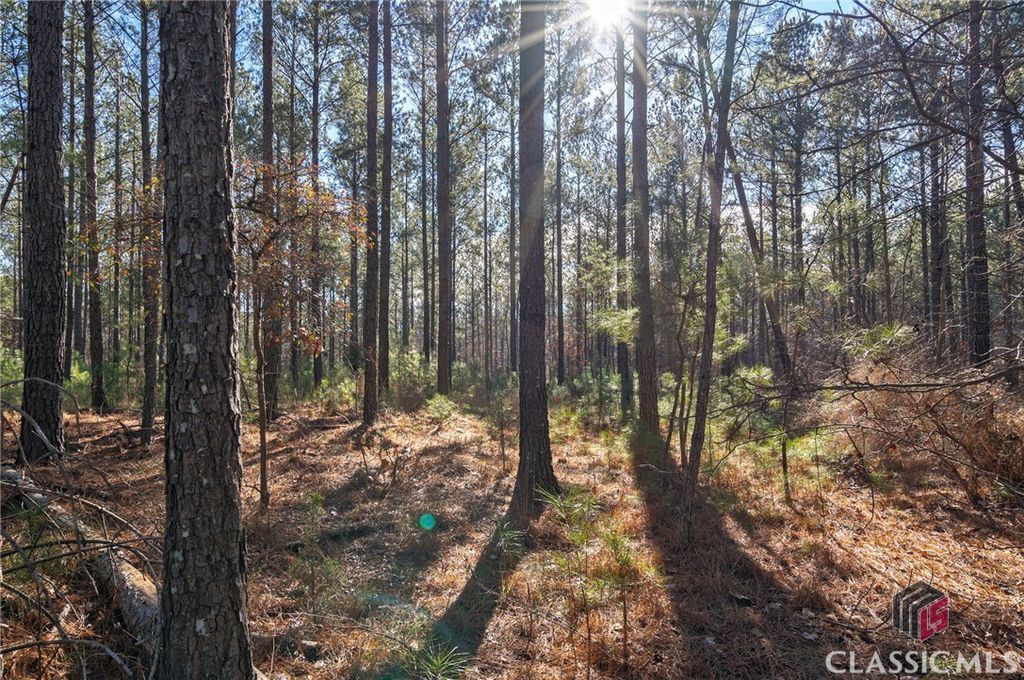 0 Aycock Road, Lexington, GA 30648