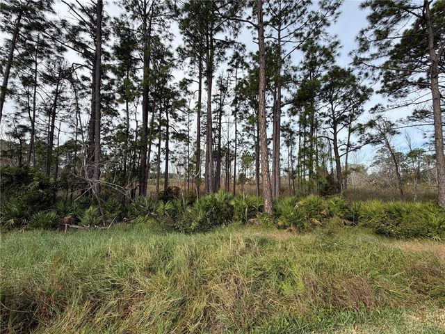 31 PERSEUS AVENUE, Flagler Beach, FL 32136