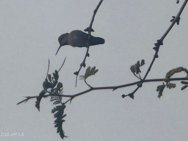 44323 N 12th Street, New River, AZ 85087