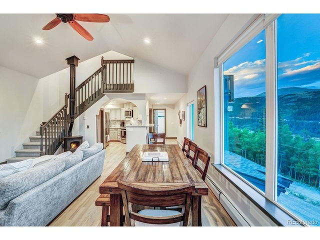 1095 Quartzville Rd, Alma, CO 80440